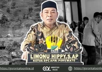 Banjir Melanda 4 Desa, Limonu : Peti Taluditi Dampak Negatif Lebih Banyak