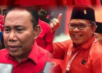 Pilkada Sumut, NTB dan Sulsel, PDIP, Perindo dan PPP Berkoalisi