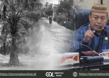 Banjir di Lemito, Aleg Rijal Pasumah ‘Kecam’ Aktivitas Eksploitasi Hutan