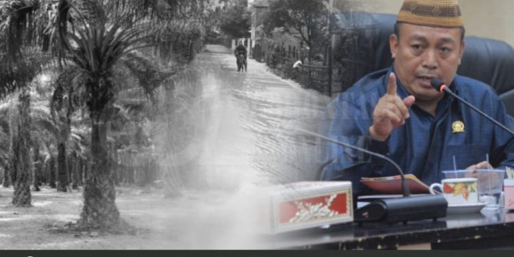 Banjir di Lemito, Aleg Rijal Pasumah ‘Kecam’ Aktivitas Eksploitasi Hutan