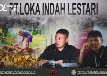 Ada Aktivitas Tambang Ilegal Di Popayato, Aktifis Minta Forkopimda Bertindak