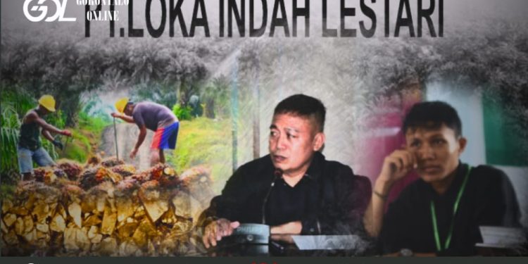 Ada Aktivitas Tambang Ilegal Di Popayato, Aktifis Minta Forkopimda Bertindak