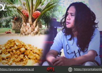 Investor Sawit Pencuri Emas Harus Diproses Hukum