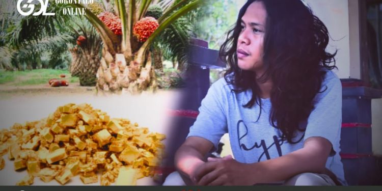 Investor Sawit Pencuri Emas Harus Diproses Hukum