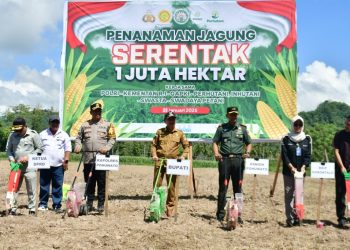 Penanaman Jagung Serentak 1 Juta Hektare Dukung Swasembada Pangan Nasional