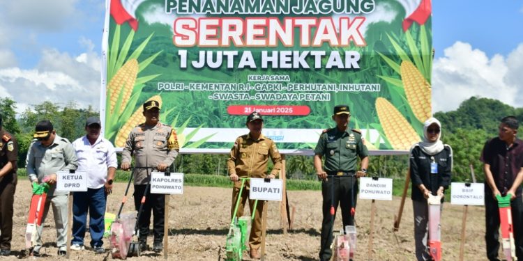 Penanaman Jagung Serentak 1 Juta Hektare Dukung Swasembada Pangan Nasional