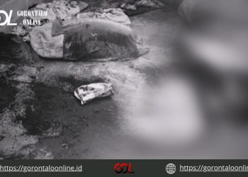 Heboh di Randangan, Jasad Lansia Ditemukan dalam Kondisi Membusuk
