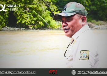 Nasir Giasi : Aktivitas Tambang di KM 18 Penyebab Utama Keruhnya Air di Popayato