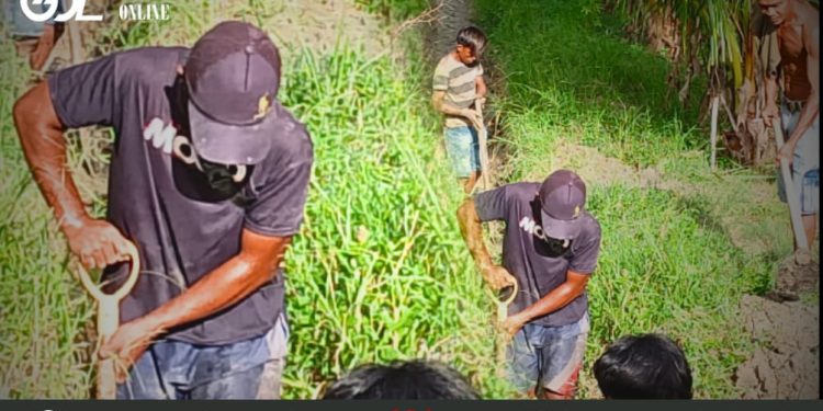Jelang Musim Tanam, Rakyat Penambang Dengilo – Paguat Kolaborasi Bersama Petani Bersihkan Saluran Drainase Didesa Kemiri