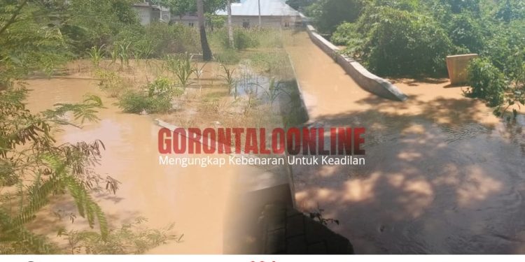 Tim Joker Tak Punya Program Hilirisasi,Aktivis Minta Kapolres Tertibkan Aktifitas Peti