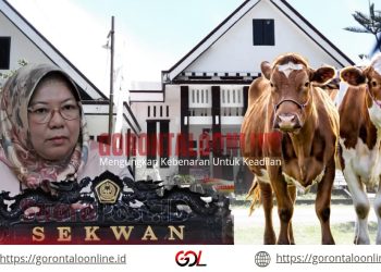 Idul Adha 1446 H,Setwan Pohuwato Berkurban Dua Ekor Sapi