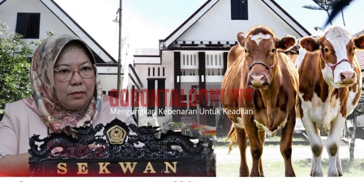 Idul Adha 1446 H,Setwan Pohuwato Berkurban Dua Ekor Sapi