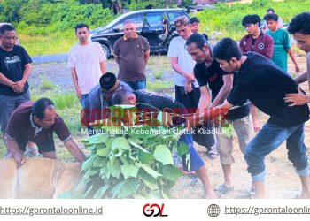 PCNU Pohuwato Berkurban,Daiman Ali : Semoga Sejarah Kurban Nabi Ibrahim Dapat Kita Teladani