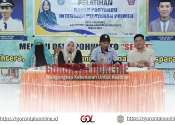 Gelar Pelatihan Kader Posyandu, Delpan Yanjo : Kader Posyandu Adalah Ujung Tombak Dalam Pelayanan Kesehatan Di Desa