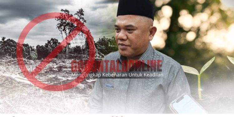 Ketua Pansus DPRD Pohuwato: Kelestarian Lingkungan Jadi Titik Berat dalam RPJMD 2025–2029