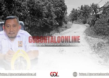Gegara Efisiensi, Jalan Rusak Di Teratai Tetap Rusak