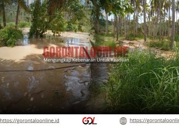 PETI di Bulangita Rugikan Warga, Nazir: Kebun Saya Tak Lagi Bisa Diolah