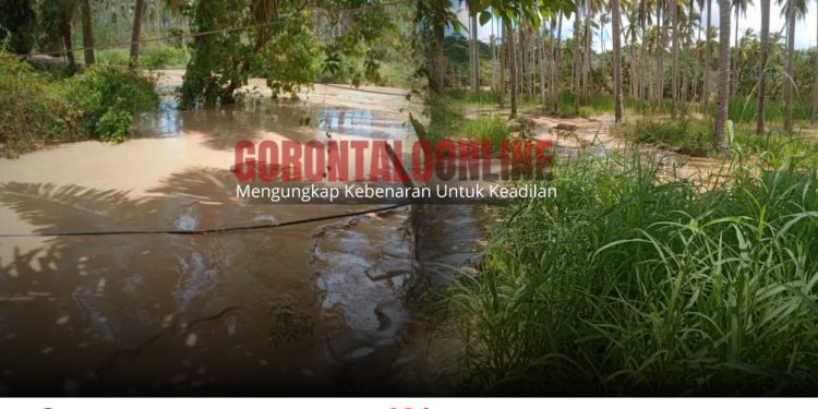 PETI di Bulangita Rugikan Warga, Nazir: Kebun Saya Tak Lagi Bisa Diolah