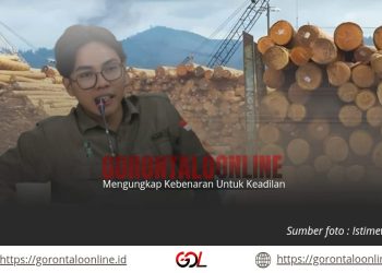 HMI BADKO Sulut–Gorontalo Laporkan Lima Perusahaan HTI dan Wood Pellet ke KLHK