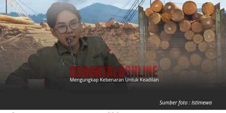 HMI BADKO Sulut–Gorontalo Laporkan Lima Perusahaan HTI dan Wood Pellet ke KLHK
