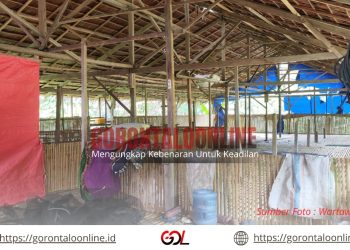 Modal Habis,Kandang Ayam Di Desa Karya Baru Terbengkalai