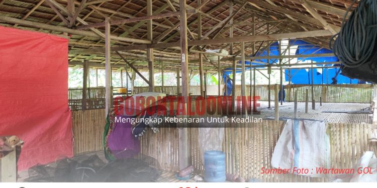 Modal Habis,Kandang Ayam Di Desa Karya Baru Terbengkalai