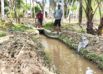 Angkat Sedimen Di Saluran Tersier, Penambang Dengilo Berdayakan Petani Di Paguat