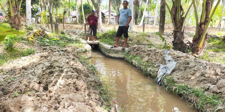 Angkat Sedimen Di Saluran Tersier, Penambang Dengilo Berdayakan Petani Di Paguat