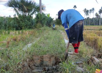 Saluran Mulai Dibersihkan Oleh Penambang,Petani Di Paguat Mulai Tersenyum