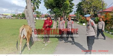 Sambut Idul Adha, Polres Pohuwato Siapkan Daging Kurban Sehat untuk Warga