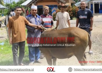 YR TIM Berbagi Hewan Kurban Di Duhiadaa, Abdulrahman Lukum : Akan Kami Salurkan Kepada Masyarakat