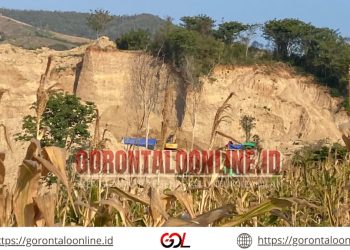 Belasan Ekskavator Beraktivitas di Bulangita, Kapolres Busrony : Akan Kami Tindak Lanjuti