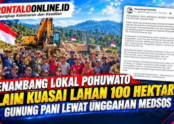 Penambang Lokal Pohuwato Klaim Kuasai Lahan 100 Hektare Gunung Pani Lewat Unggahan Medsos